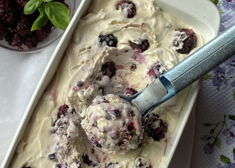 BLACKBERRY ICE CREAM – NO CHURN