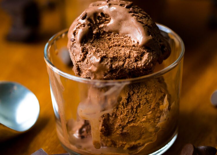 Vegan Chocolate Ice Cream – Non-Vegan Authorised!