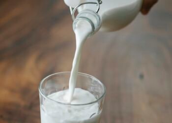 Is Uncooked Milk Protected? The Newest on The Uncooked Milk Development