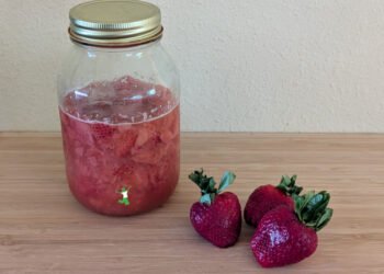 Fermented Strawberries | Wholesome Residence Economist