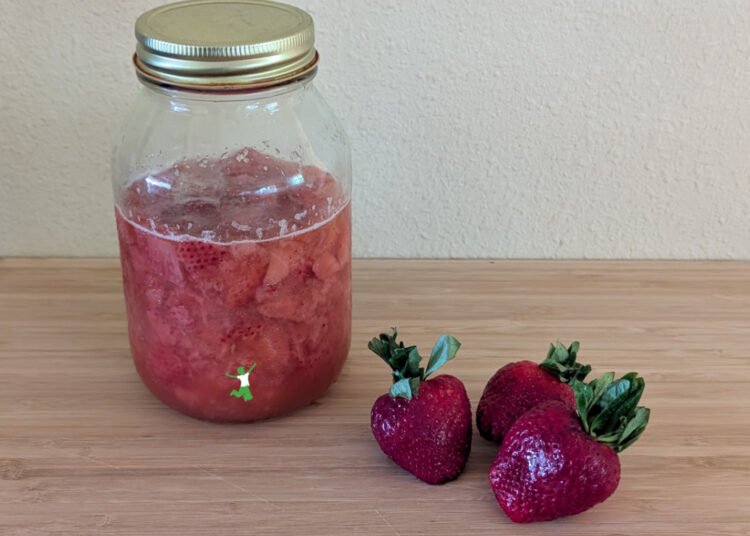 Fermented Strawberries | Wholesome Residence Economist