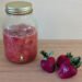 Fermented Strawberries | Wholesome Residence Economist