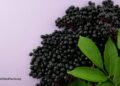 What About Elderberry, Echinacea, and Cranberries for Colds and the Flu? 