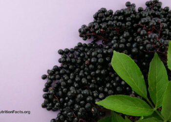 What About Elderberry, Echinacea, and Cranberries for Colds and the Flu? 