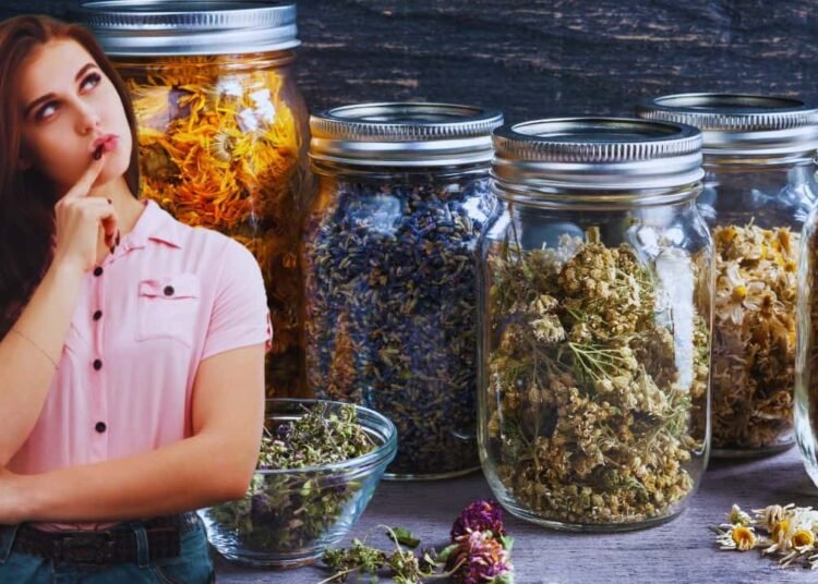 7 Enjoyable Methods to Use Leftover Glass Jars As an alternative of Throwing Them Out