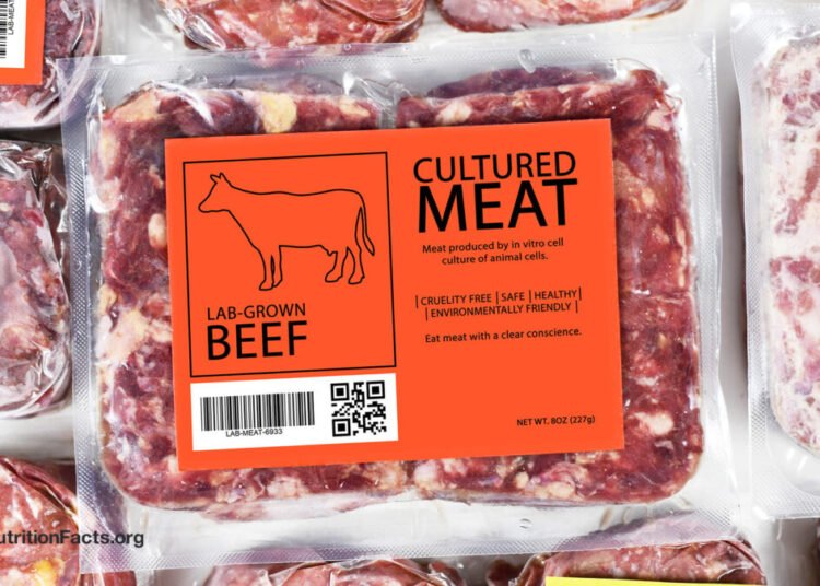 Meals Security and Cultivated Meat 