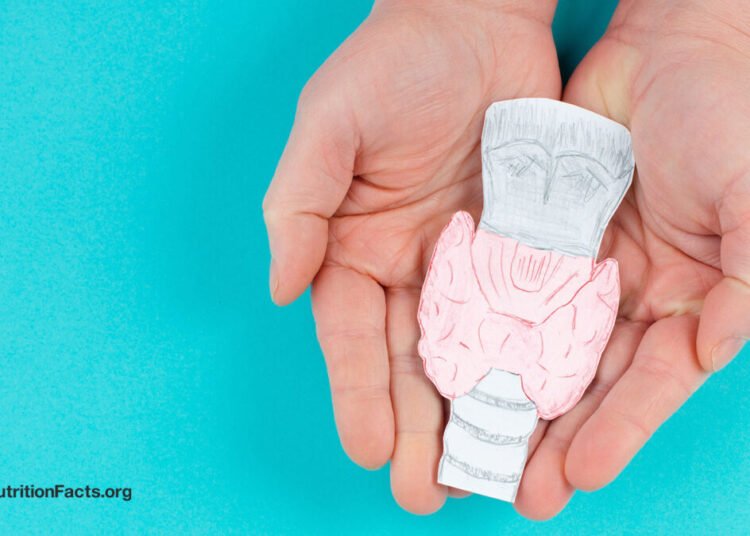 Treating Hashimoto’s Illness (Hypothyroidism) Naturally with Food regimen 