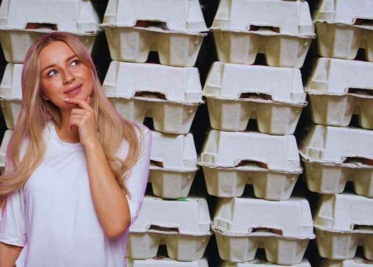 9 Inventive Methods You Can Give Egg Cartons a Second Life