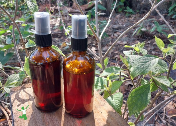 American BeautyBerry Bug Spray | Wholesome Dwelling Economist