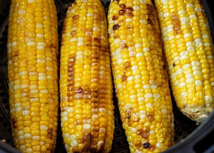 Air Fryer Corn on the Cob – WellPlated.com