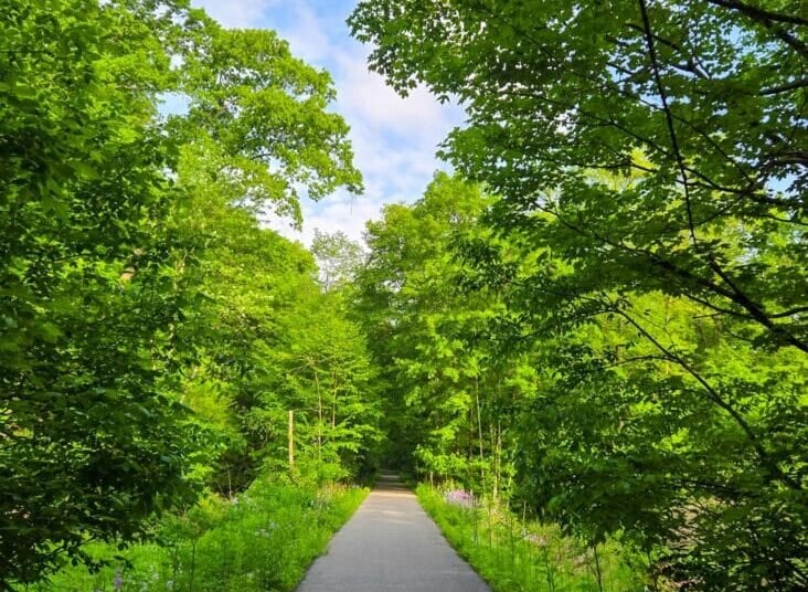 The Little Issues E-newsletter #471 – Life, laughter, and many nice meals!