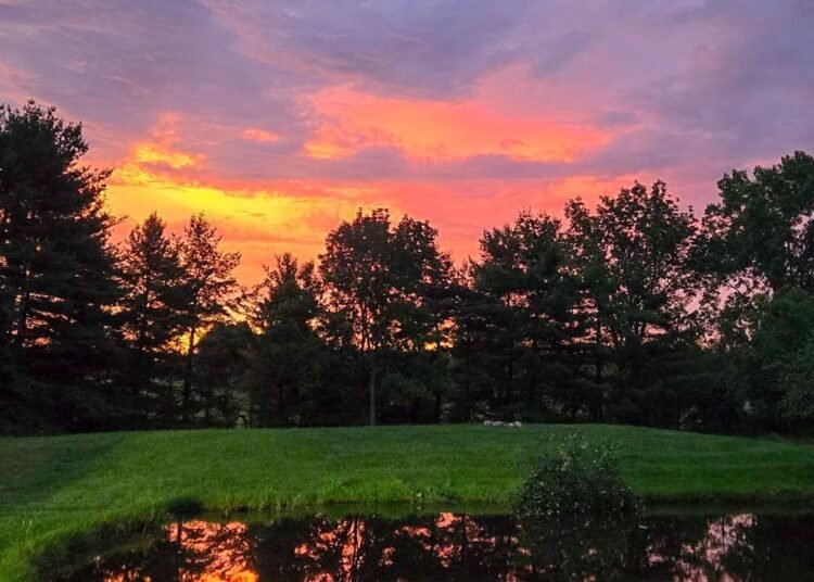 The Little Issues E-newsletter #475 – Life, laughter, and plenty of nice meals!