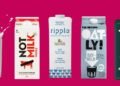 Is Plant-Based mostly Milk Wholesome: Oatly, NotMilk, Ripple and Extra