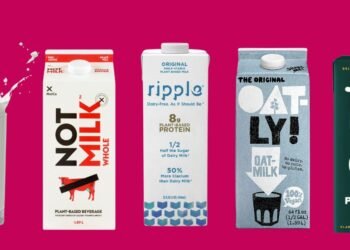 Is Plant-Based mostly Milk Wholesome: Oatly, NotMilk, Ripple and Extra