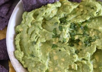 The Finest Do-it-yourself Guacamole – Mel’s Kitchen Cafe