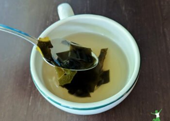 How one can Make Dashi Broth