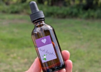 Selfmade Liquid Antibiotic | Wholesome House Economist