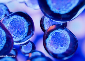 Dietary Elements That Could Trigger Most cancers to Metastasize 