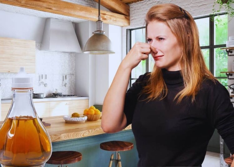 8 Tricks to Get rid of Odors From Smelly Kitchens Utilizing Simply One Ingredient
