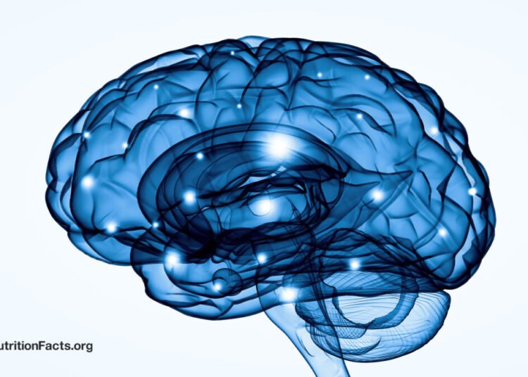 Boosting BDNF Ranges in Our Mind to Deal with DespairĀ