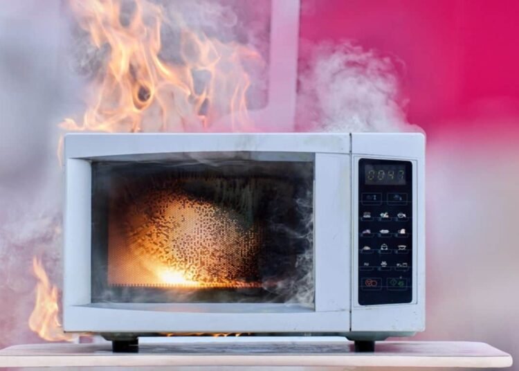 9 Causes Paper Towels Don’t Belong in Your Microwave