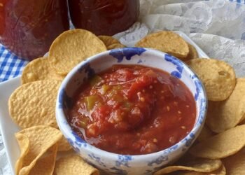 HOMEMADE CANNED SALSA RECIPE – The Southern Woman Cooks
