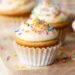 Gluten Free Vanilla Cupcakes – Tender, Fluffy, Mild