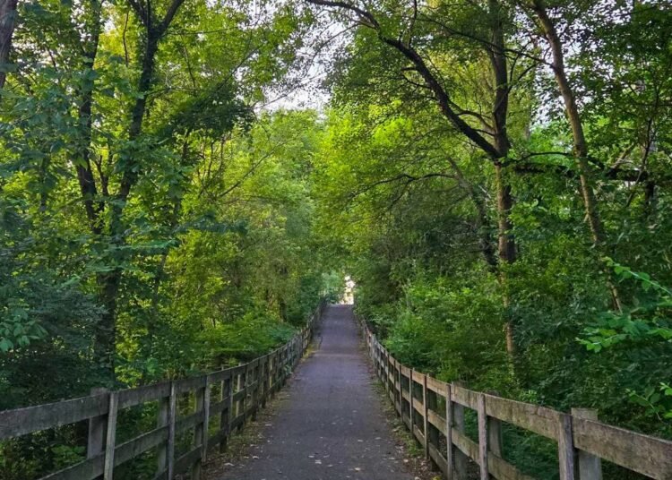 The Little Issues E-newsletter #479 – Life, laughter, and many nice meals!