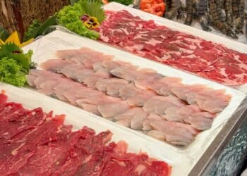 Midweek Scorching Pot Feast at Concorde Resort KL – My Expertise on the Jom Makan-Makan Scorching Pot Buffet – dixonthum