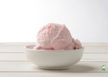 Do-it-yourself Strawberry Ice Cream | Wholesome Dwelling Economist