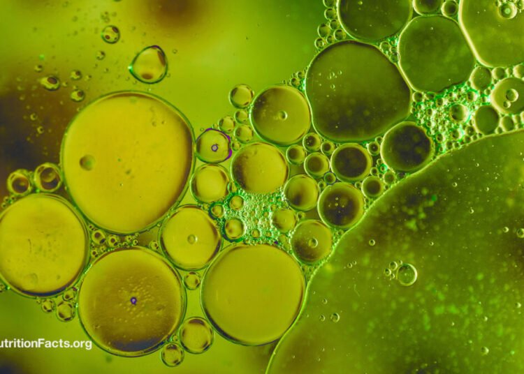 Are Carboxymethylcellulose, Polysorbate 80, and Different Emulsifiers Protected? 