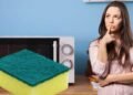 7 Genius Tips about The right way to Microwave Your Sponge to Maintain it Cleaner