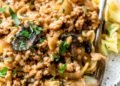 Rooster Stroganoff (Household Favourite) – Skinnytaste