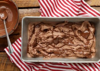 Nutella Ice Cream – Barefeet within the Kitchen