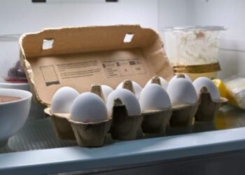 Why You Ought to By no means Hold Eggs In This A part of the Fridge