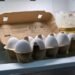 Why You Ought to By no means Hold Eggs In This A part of the Fridge