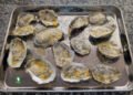Garlic Parmesan Broiled Oysters | Wholesome House Economist