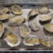 Garlic Parmesan Broiled Oysters | Wholesome House Economist