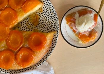 Apricot Tart – SHK
