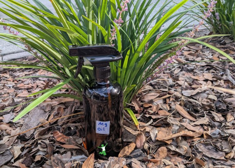 Home made Magnesium Oil | Wholesome House Economist