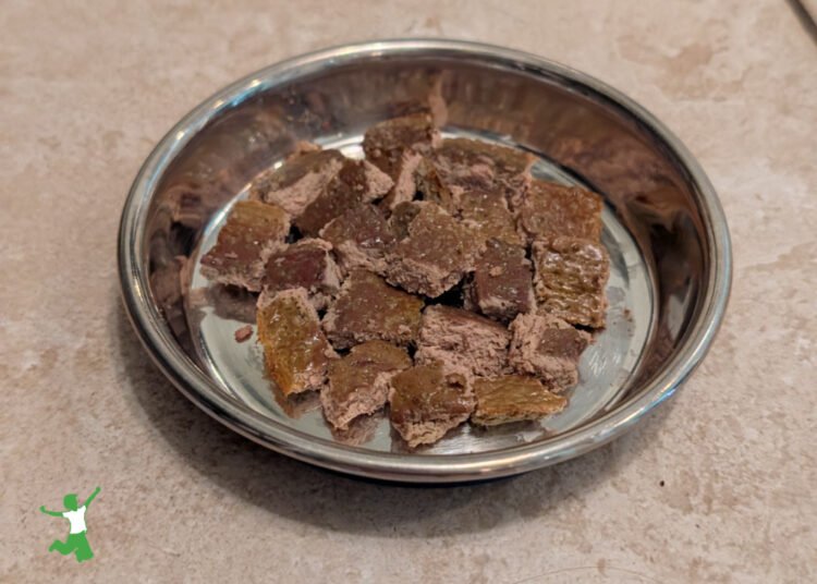 Home made Pet Treats | Wholesome Residence Economist