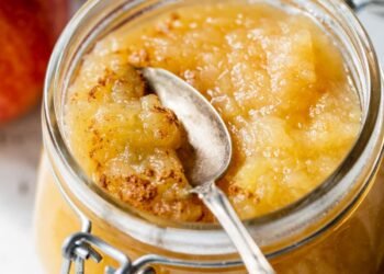 Cozy Immediate Pot Applesauce