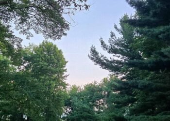 The Little Issues Publication #481 – Life, laughter, and plenty of nice meals!