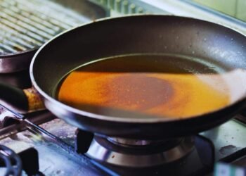 7 Causes Why You Ought to By no means Pour Grease Down the Drain