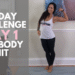 90 Day Problem Day 1: Full Physique HIIT