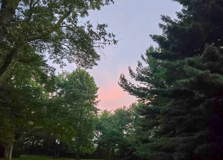 The Little Issues Publication #484 – Life, laughter, and many nice meals!