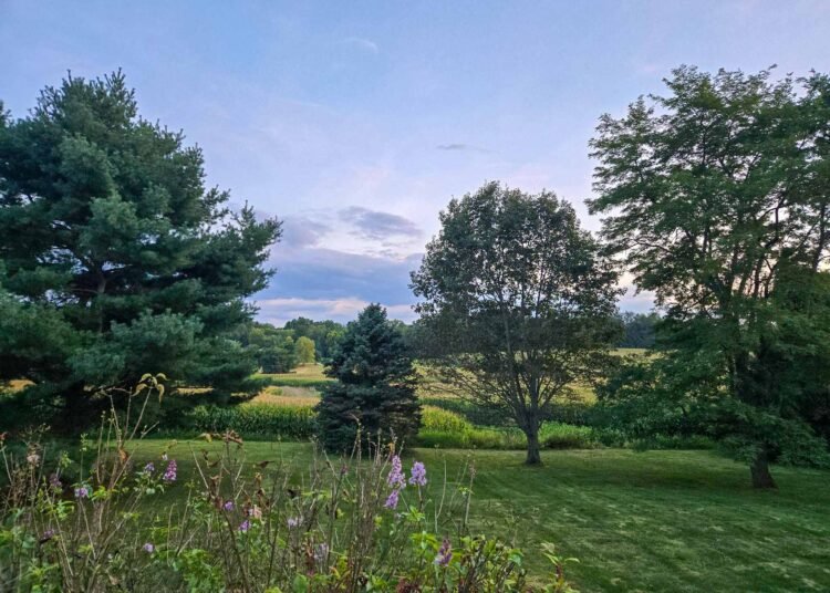 The Little Issues Publication #485 – Life, laughter, and plenty of nice meals!