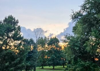 The Little Issues Publication #488 – Life, laughter, and plenty of nice meals!