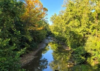 The Little Issues E-newsletter #487 – Life, laughter, and plenty of nice meals!