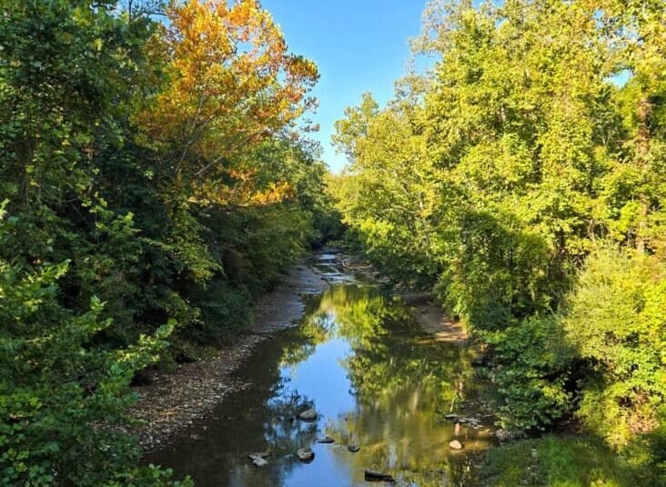 The Little Issues E-newsletter #487 – Life, laughter, and plenty of nice meals!